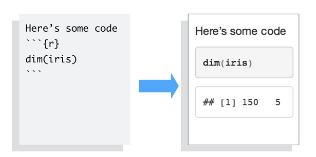 R Markdown R code embedded to HTML document.