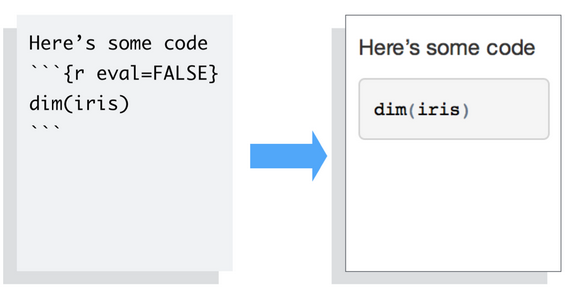 R Markdown with omitted results from your final report.