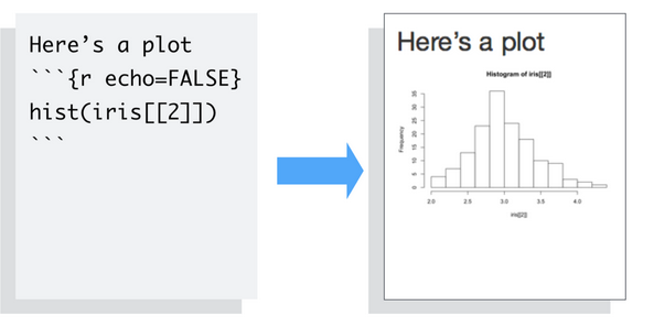 R Markdown with omitted code from your final report.