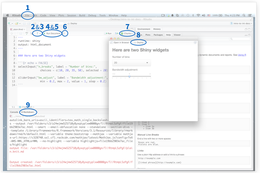 R Markdown R Studio IDE.
