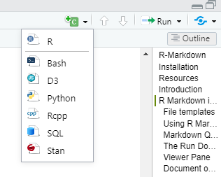 R Markdown Insert Chunk button.